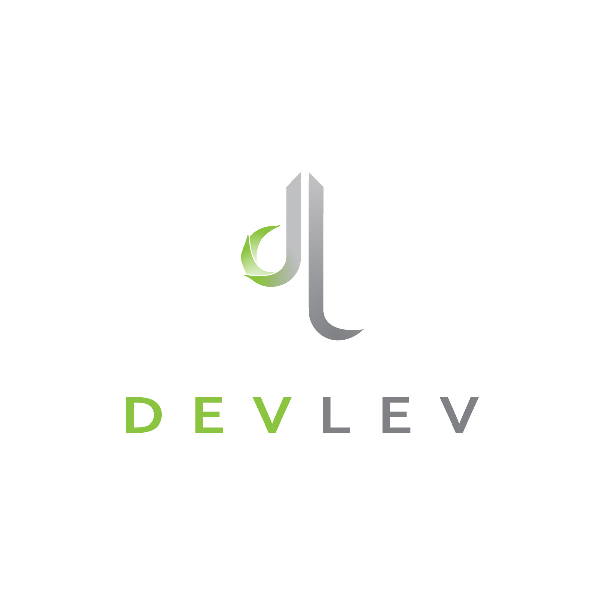 DEVLEV - corporate identity design for architectural-development company